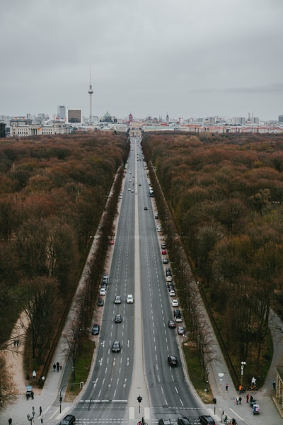 树间道路的高角度摄影